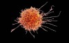 Stembook: Putting ‘Super’ in Natural Killer Cells